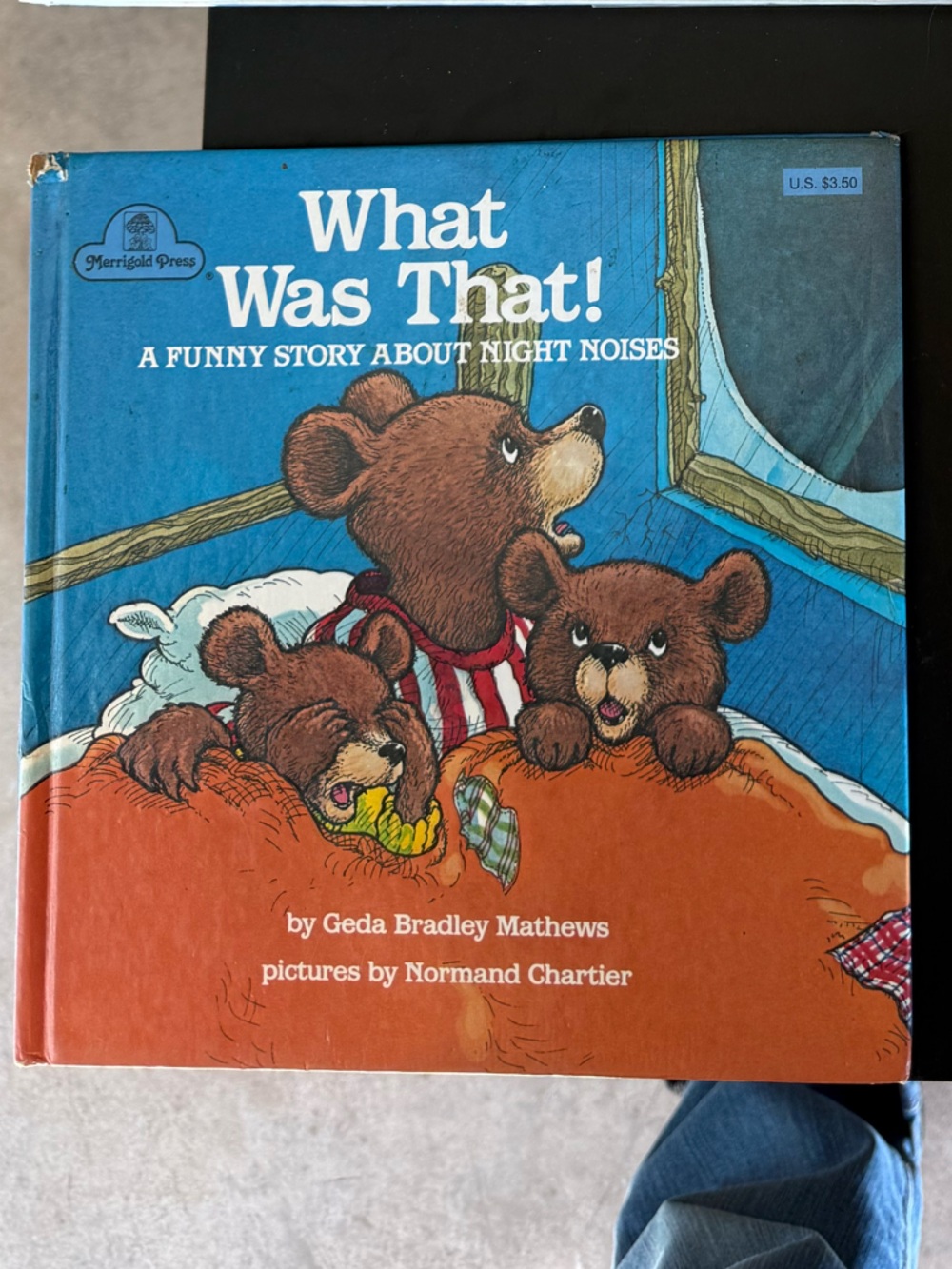 What Was That! by Geda Bradley Mathews - Kids Picture Book (Blue/Orange)